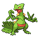 http://www.poketown.net/public/poketown/SpriteDP/Maschile/sceptile.png