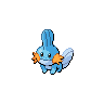 MUDKIP