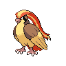 Pidgeot