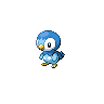 Piplup