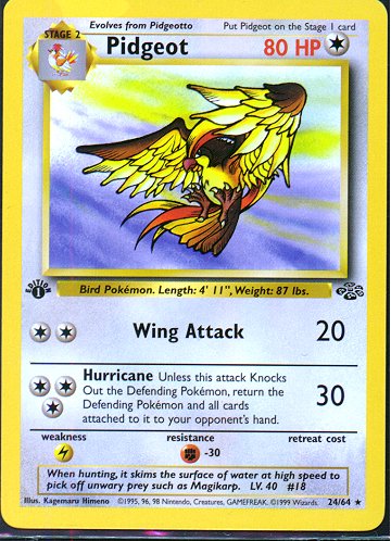 24-pidgeot